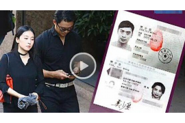 香坊专业催债公司的市场需求和前景分析